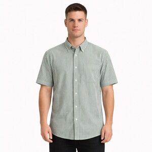 Green and White Striped Short Sleeve Collared Oxford Shirt